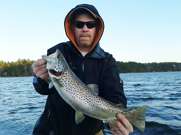 South Pond brown trout