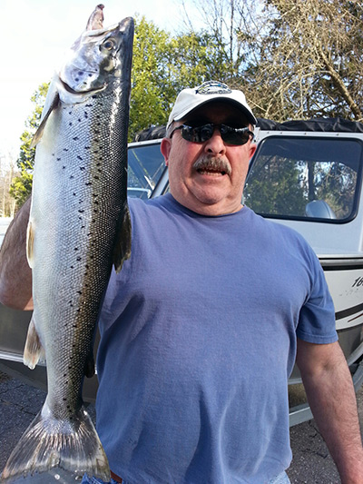 a 5 pound plus Quabbin salmon