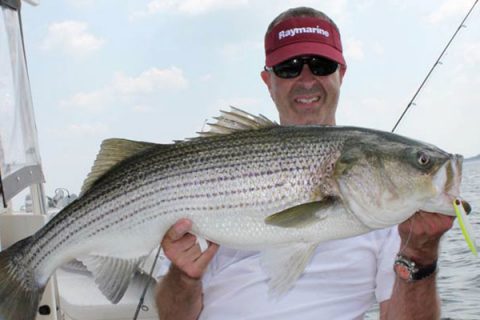 chartreuse/white Centervortex Butterfly jig