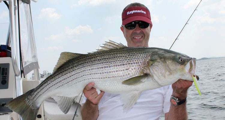 chartreuse/white Centervortex Butterfly jig