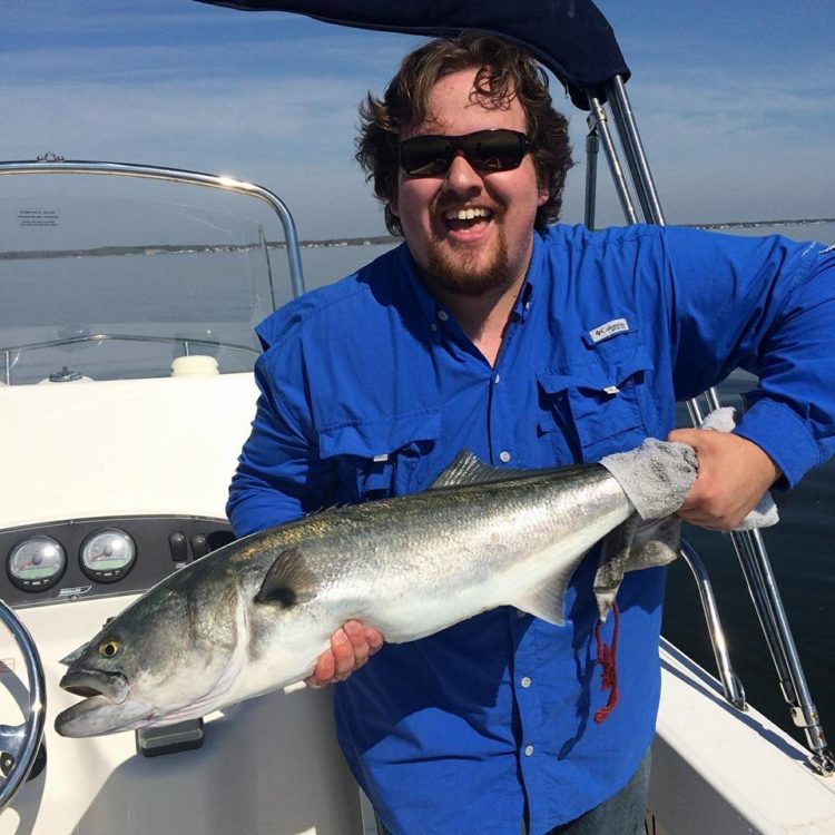 Rob Braczyk landed this blue in Barnegat Bay this past Saturday. The water was so glassy he could see the blues finning.
