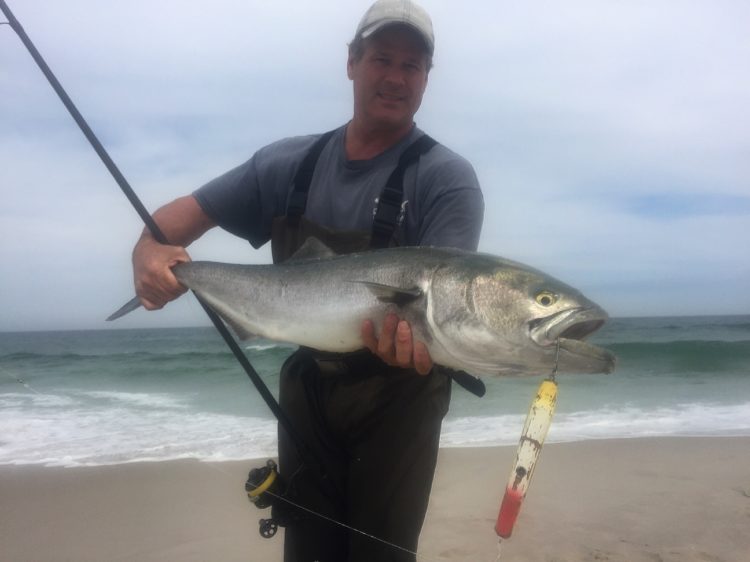 Tom Lynch with a 16-pound bluefish. 