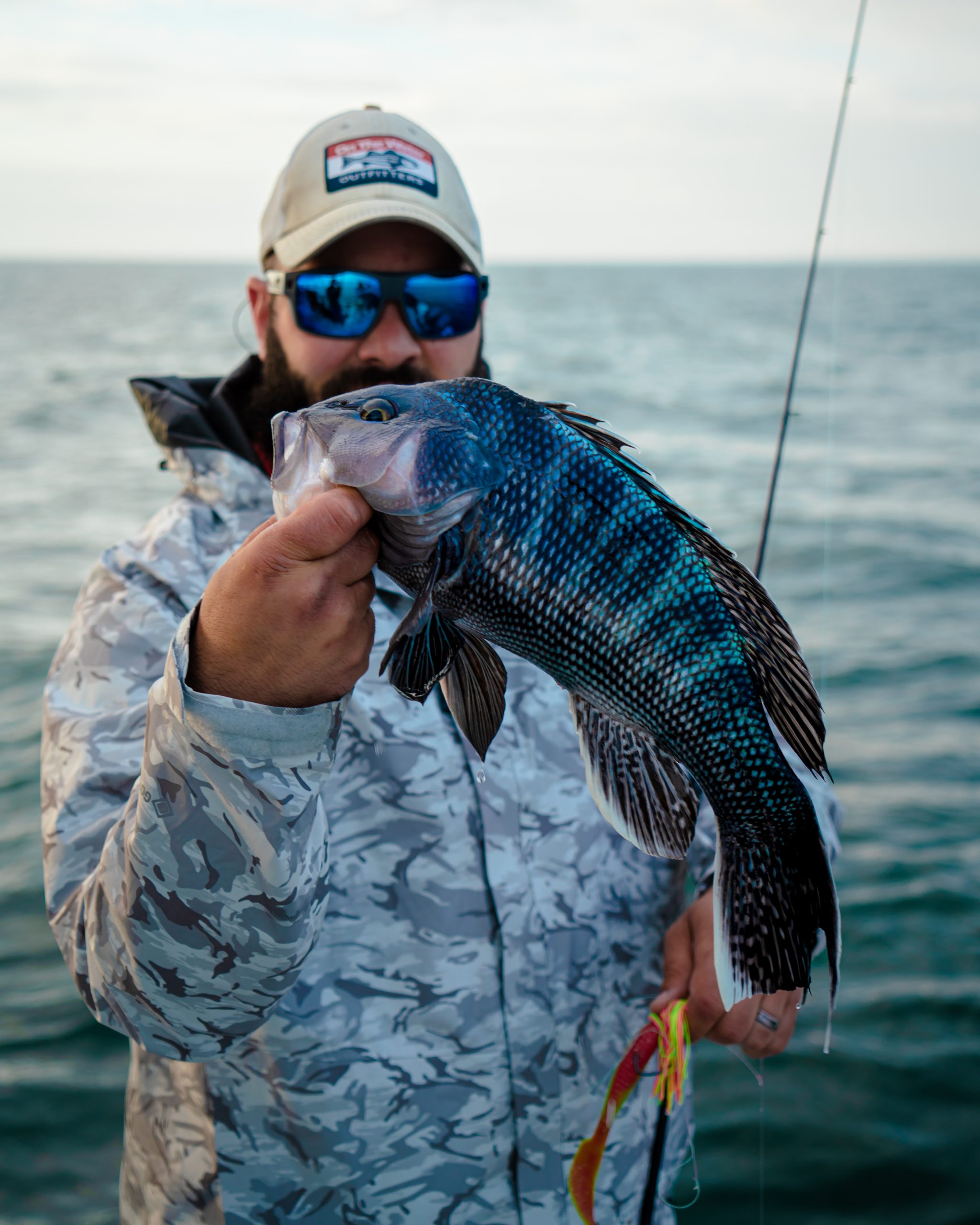 Black Sea Bass Fish Facts - On The Water
