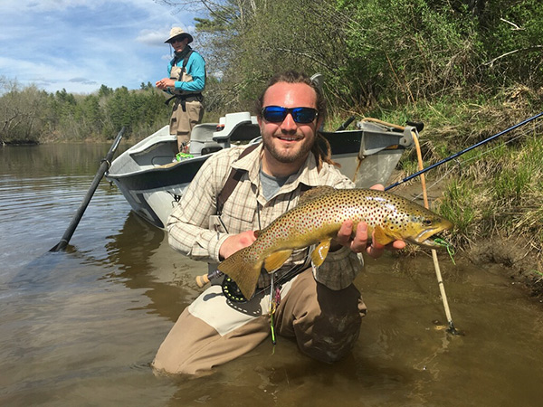 Maine streamer eater
