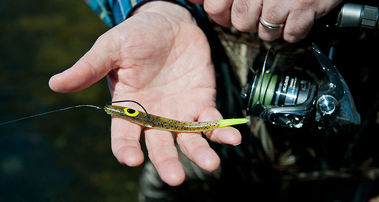 Featured Lure: YUM Swurm - On The Water