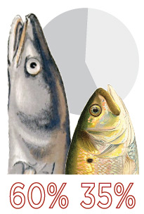 eel-bunker