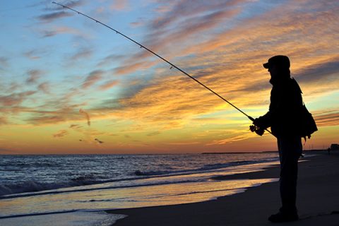 Plugging The Beaches
