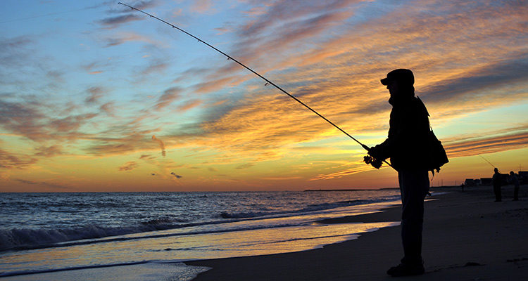 Plugging The Beaches