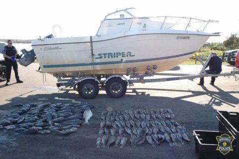 Mass Environmental Police Nab Poacher