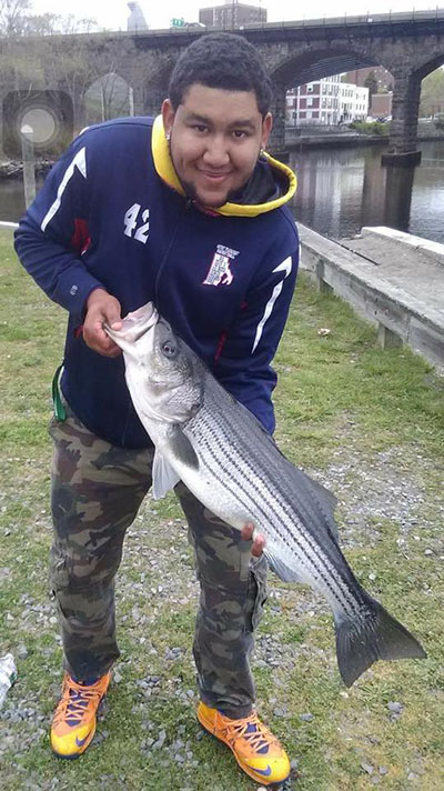 A quality Seekonk River striped bass photo shared by Dave at Ocean State Tackle.