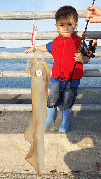 Tommy Golden may be only three, but he showed this big squid off Nut Island who's boss!