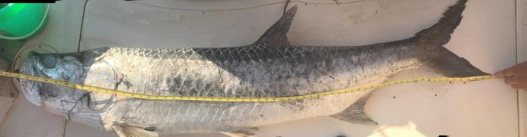 13498105_10153727633348067_8615219374930967090_o