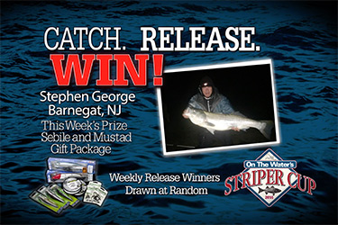 Catch, Release, Win and Appear On TV!