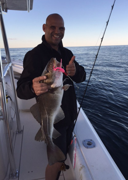 Cod such as this one taken from aboard the T Sea are in close to shore off Cape Ann.