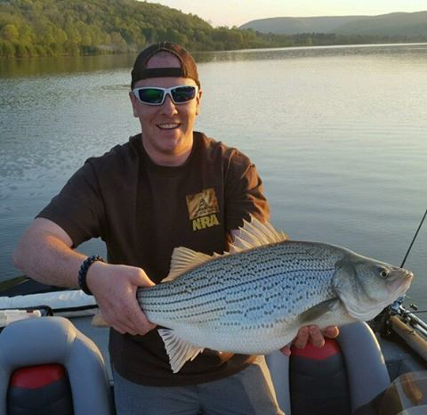 Striped Bass Hybrid