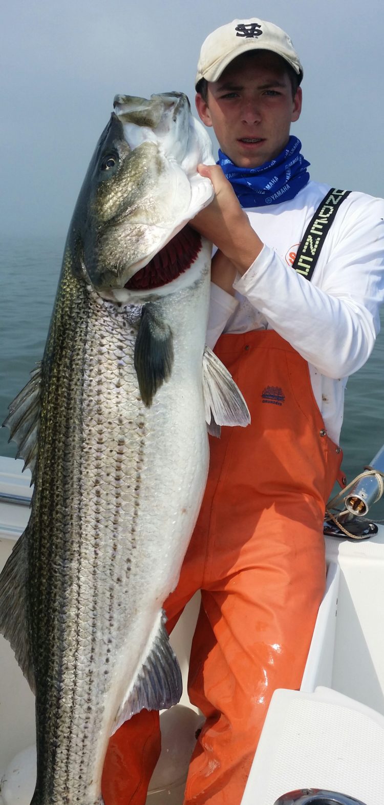 Hunter Bartnicki caught this 46-pound striper while trolling on May 31. 