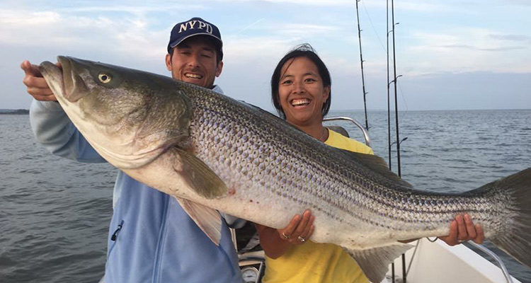 Jolyn Wiggin caught a 51" by 31" girth big bass swimming live bunker