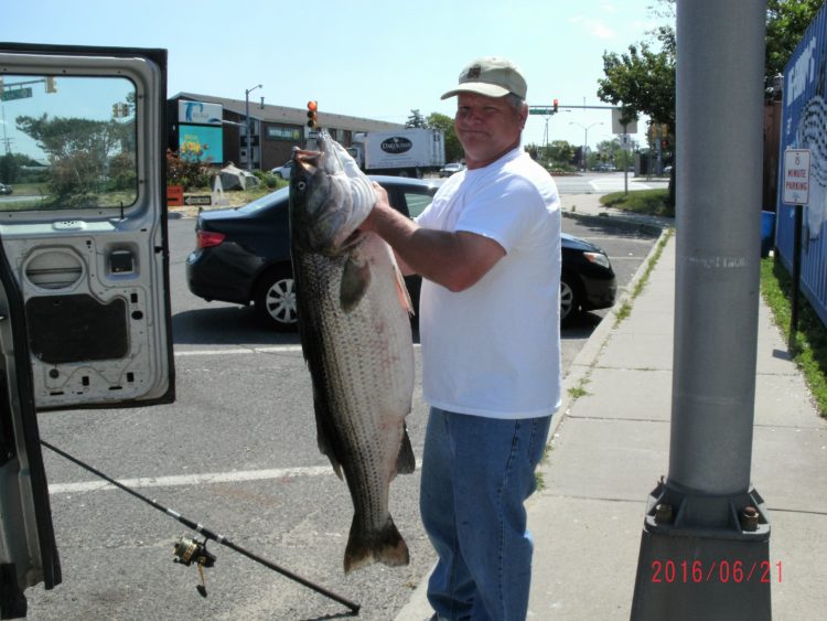 Ray Smith of Neptune weighed in this 53 pound bass at Fisherman's Den in Belmar.
