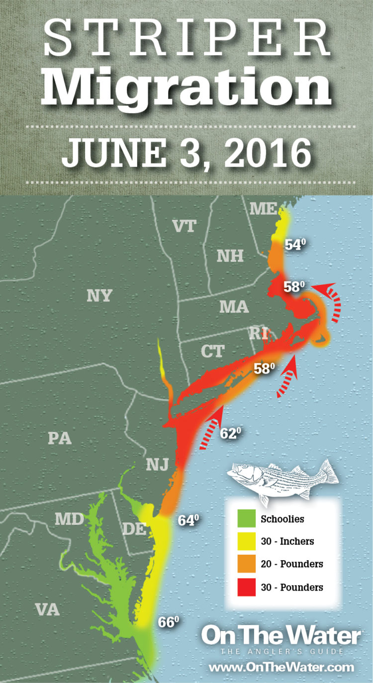 Striper Migration Map