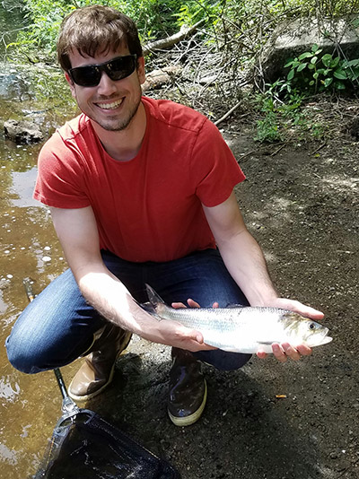 Willy Goldsmith caught not and released this Charles River shad.
