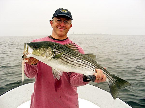 Soft-plastic stickbaits are deadly striper lures. Rig them on a single hook for shallow water, or on a jighead to reach deeper water.