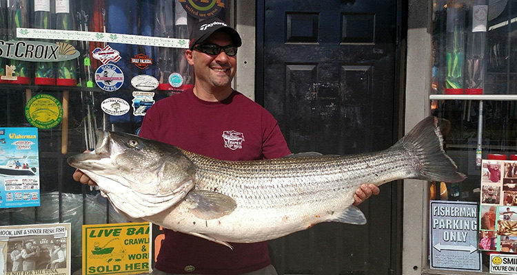 Nick D'Angelo with a 43 pound striper