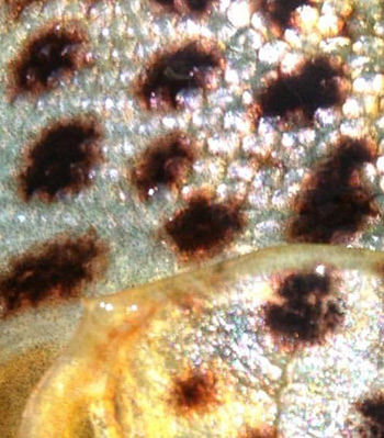 celebrate National Fishing and Boating Week with family or friends!