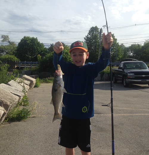 Schoolies on the North Shore now for Teddy Taoutsouris but fifties one day!