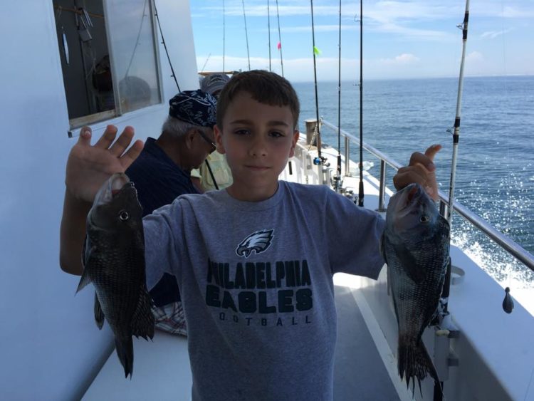 Anglers aboard the Carolynn Ann III are catching some fine keeper sea bass between fluke bites. Just a reminder, the current limit for black sea bass is 2 fish per person. 