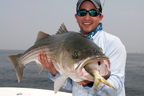 Most stripers you&rsquo;ll catch will be heavier than 20 pounds, so consider releasing these fish after snapping a few photos.