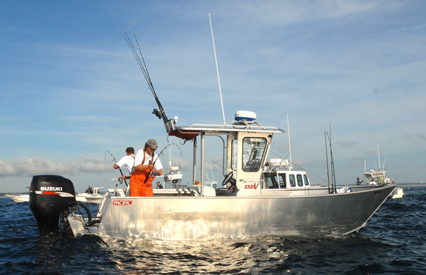 Striped bass gather in big numbers off the Outer Cape in summer to feed on abundant sand eels in the relatively cool water.