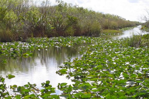 Everglades National Park