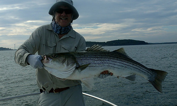 This 40-pound-class harbor bass hit a jig aboard the Draggin' Fly.