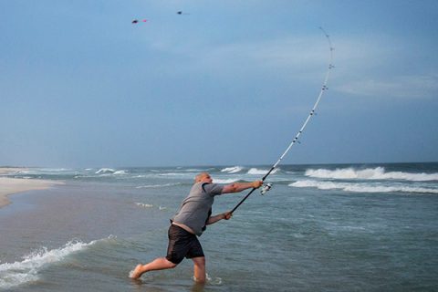 Fresh-cut bunker is one of the best ways to put big bass on the beach all season long.