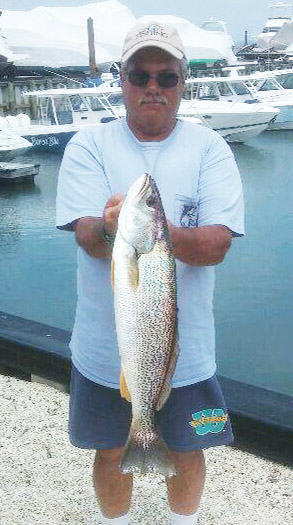 Finding schools of peanut bunker and mullet is the first step to locating summer weakfish like this one caught by CJ Polhamus.