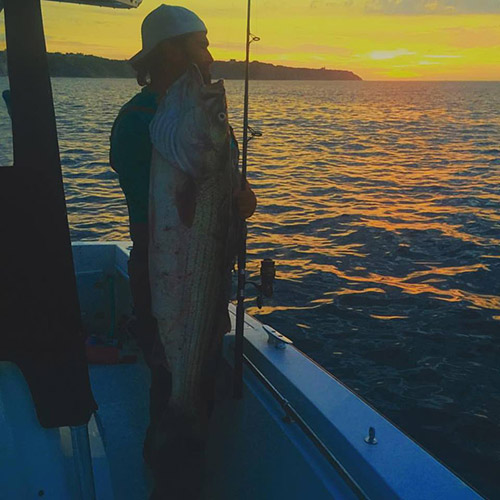 Cesin Curi with a nice Rhode Island bass