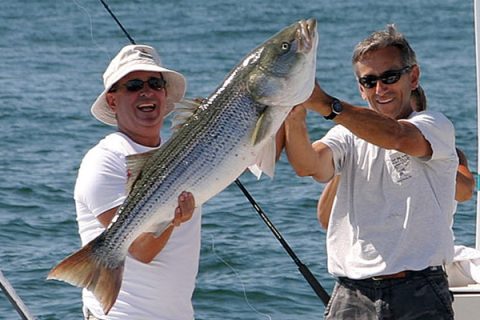 Captain Steve Roland and a bunker-chunk-caught, 44-pound East End striper.