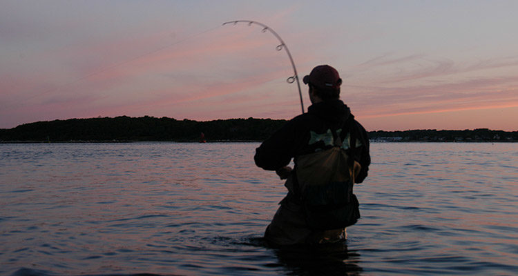 Five Plugs To Fake Out Summertime Stripers