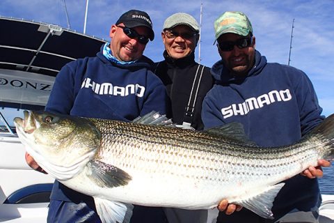 Monster Bass Tactics