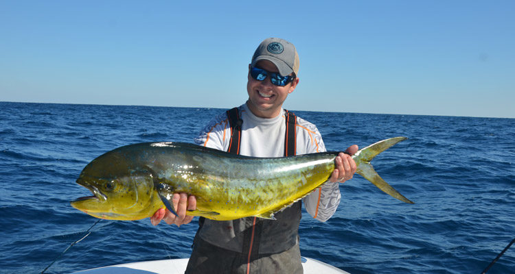 A 15-pound mahi puts up a serious battle on light tackle.
