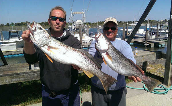Mark Cooch and CJ Polhamus showing a couple of tiderunner weakfish.