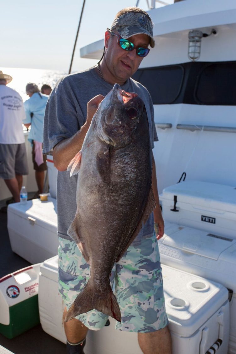 This barrelfish tied for first place in the edible species pool. 