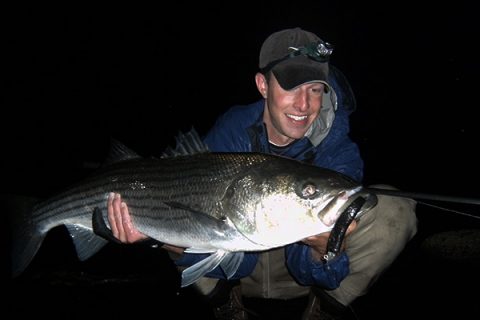 Fish The Striper Strip