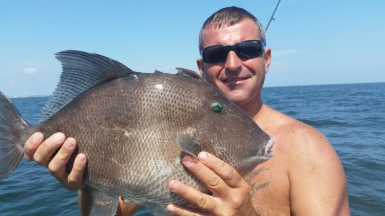 Jimmy Massimino caught the new state record triggerfish of 6 pounds, 11 ounces at the Sea Girt Reef.