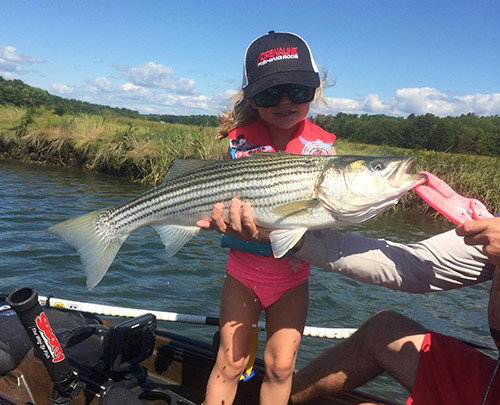 our-year-old Anna caught this 30-inch striper on a kayak-fishing trip with (her dad) Mike Baker