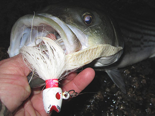 BIG CRAPPIE LOVE HAIR JIGS TOO- Tips and tactics for bigger