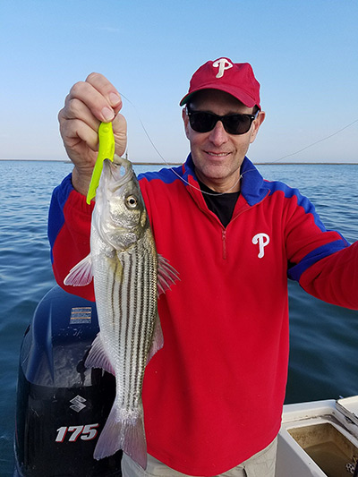 Absecon Bay Sportsman has been getting solid reports of Striped Bass action in the Mullica and Great Egg rivers.