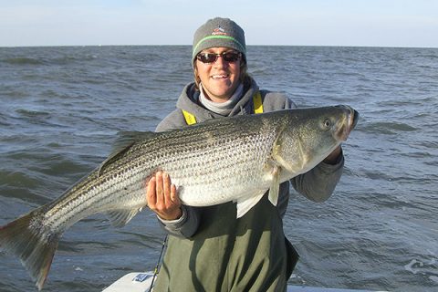 Chunking for Delaware Bay stripers gets started in October and lasts well into November.