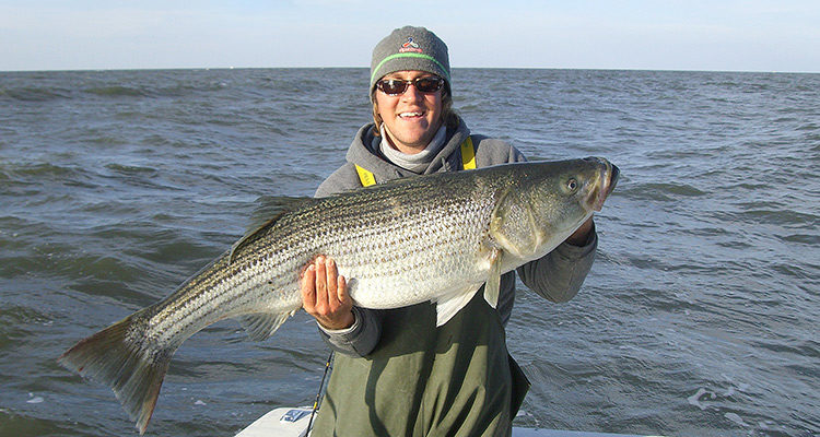 Chunking for Delaware Bay stripers gets started in October and lasts well into November.