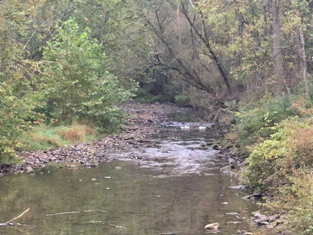 Fishing Creek, Clinton County, is still low and clear.